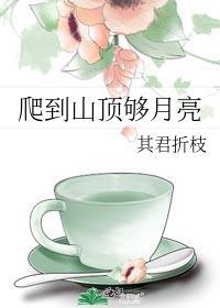 爬到山顶够月亮其君折枝