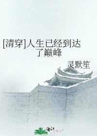 人生已到达巅峰是什么歌