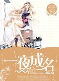 一夜成名阅读