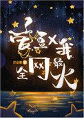 爱豆和我 全网最火晋江