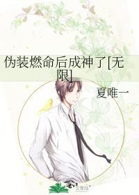 伪装伪装