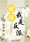 我是反派晋江