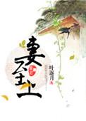 妻至上全文免费阅读求