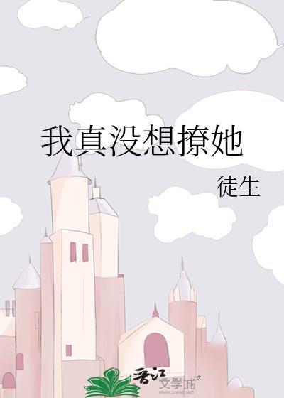 我真没想追你