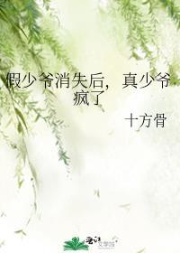 真少爷疯了by十方骨