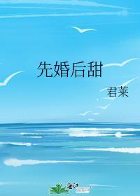 先婚后爱甜文宠文
