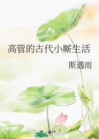 高管的古代小厮生活正版无广告免费阅读