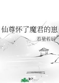 仙尊怀了魔尊的