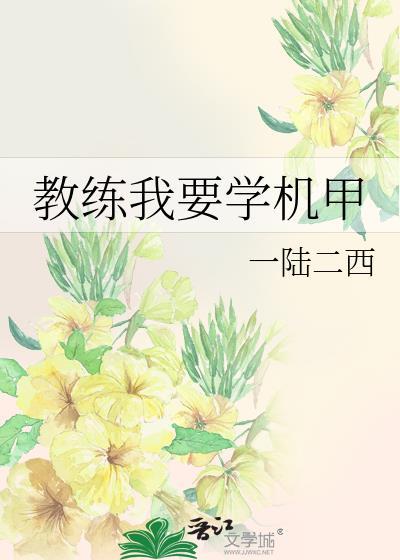 教练我要学机甲无防盗