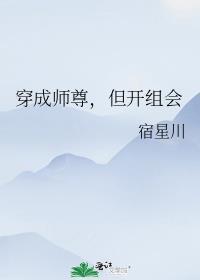 穿成师尊但开组会晋江文学城