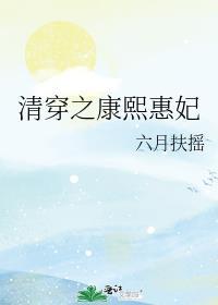 清穿之康熙惠妃作者六月扶摇