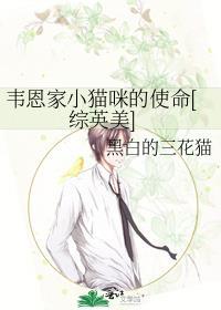 韦恩家小猫咪的使命[综英美