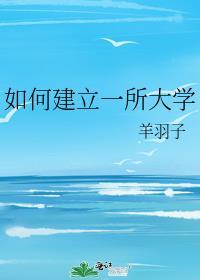 怎样建一所大学