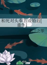 足球米兰传奇