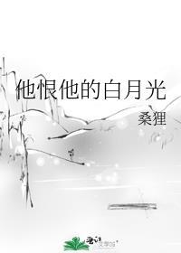 他恨他的白月光讲了什么