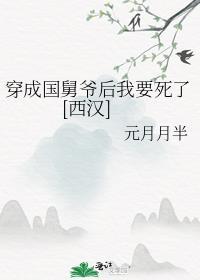 穿越成了国