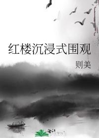 红楼沉浸式围观TXT