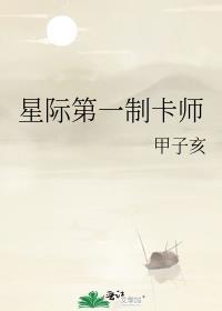 星际第一制卡师甲子亥