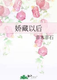 娇藏以后非木非石讲什么