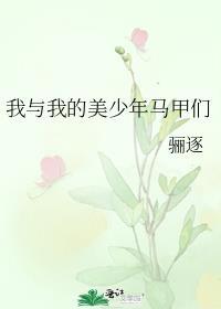 我与我的美少年马甲们作者 骊逐