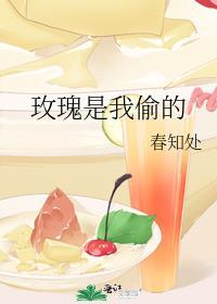 玫瑰是我偷的歌曲歌词