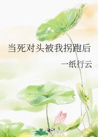 当死对头被我拐跑后 一纸行云