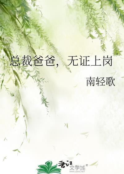 无证上岗 南轻歌 免费