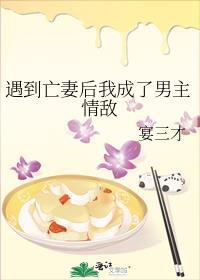 遇到亡妻后我成了男主情敌txt