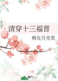 清穿之十三福晋