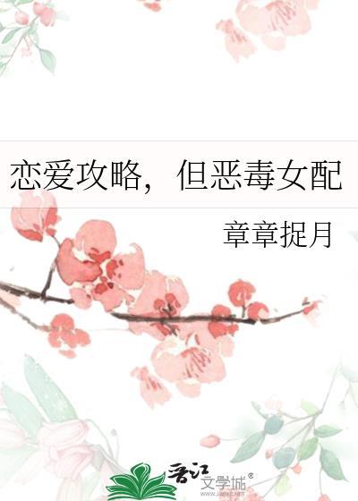 恋爱攻略的定义