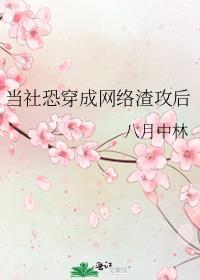当社恐穿成网络渣攻后TXT百度