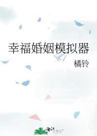 幸福婚姻模拟器晋江