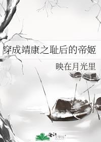 穿越靖康的