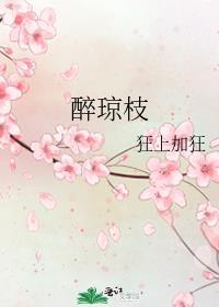 醉琼枝正确版本