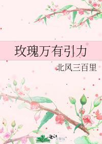 玫瑰引力全集免费阅读