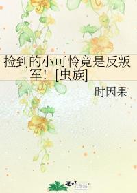 捡到一个小可怜全文阅读