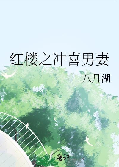 红楼之冲喜男妻免费