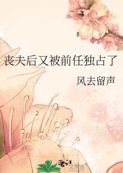 丧夫后又被前任独占了作者·风去留声
