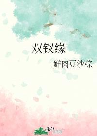 双钗缘讲的什么