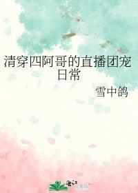 清穿四阿哥额娘