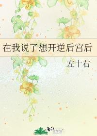 在我说了想开逆后宫后左十右