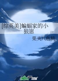 综英美蝙蝠家的小狼崽
