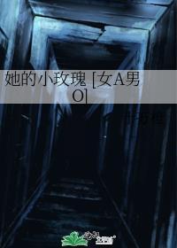 他的小玫瑰by