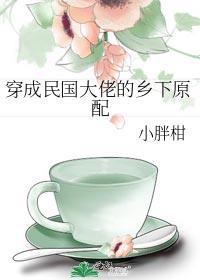 穿成民国大佬的乡下前妻