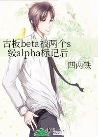 古板beta被两个s级alpha标记后笔趣阁