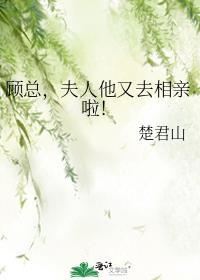 夫人他又去相亲啦