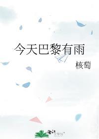 今天巴黎有雨晋江