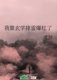 我靠玄学排雷爆红了 作者虞洄