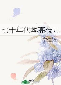 七十年代攀高枝儿最新章节_