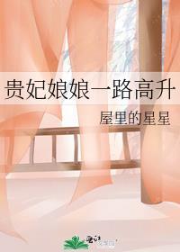 贵妃娘娘是什么意思?